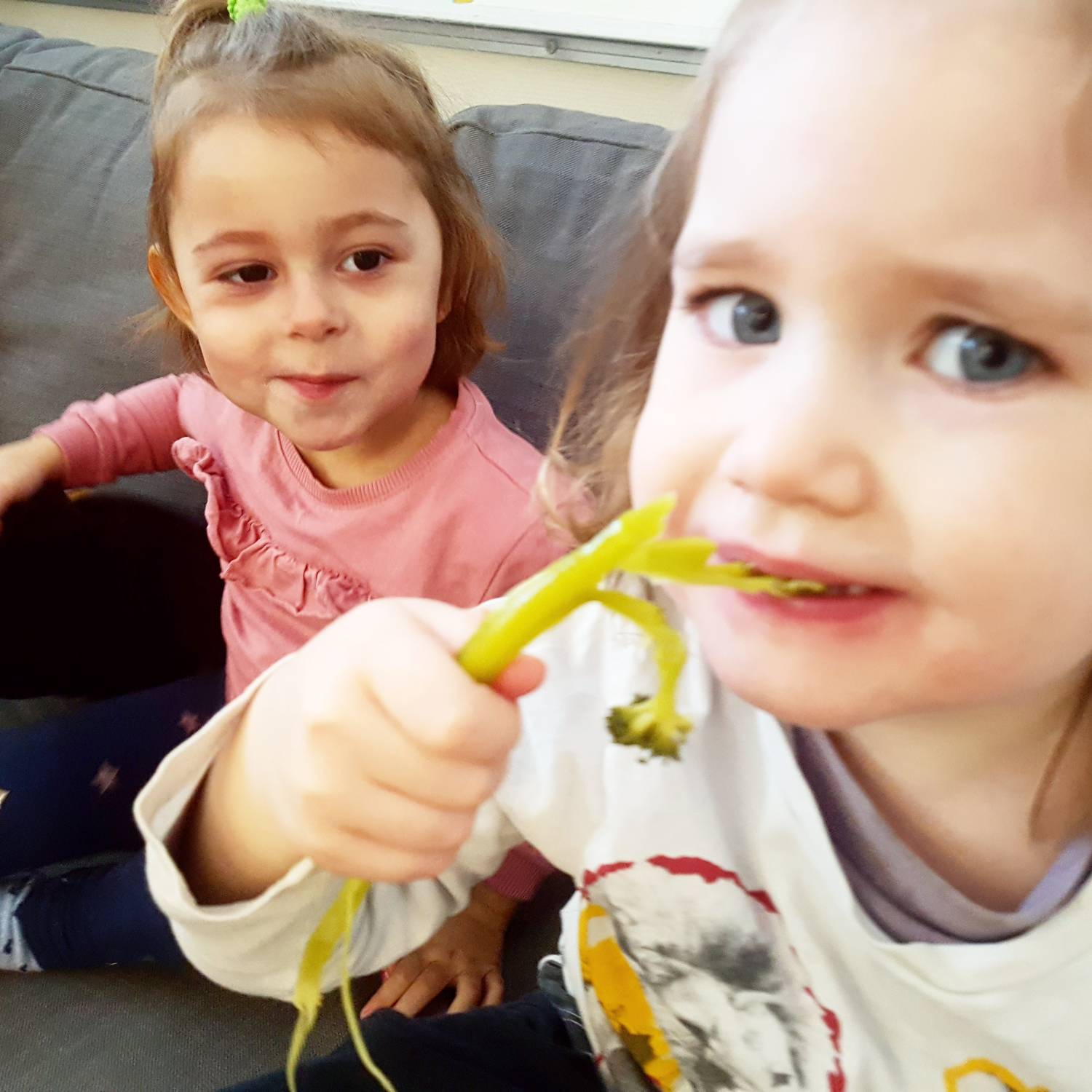 Bild från DinVinguide