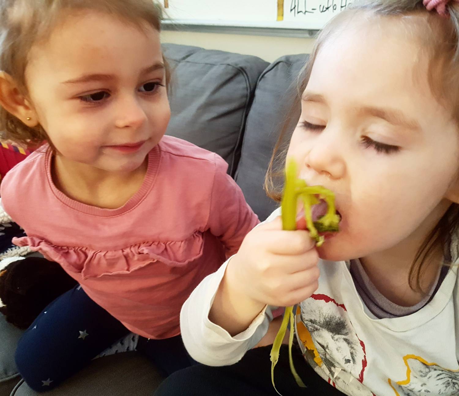 Bild från DinVinguide