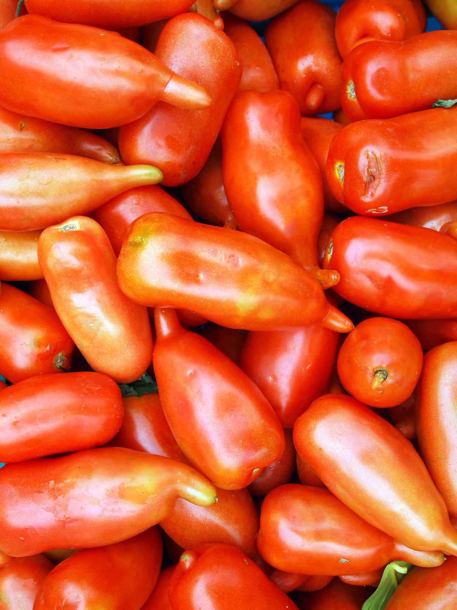 Tomat- och aprikoskompott med frukt- och nötbröd