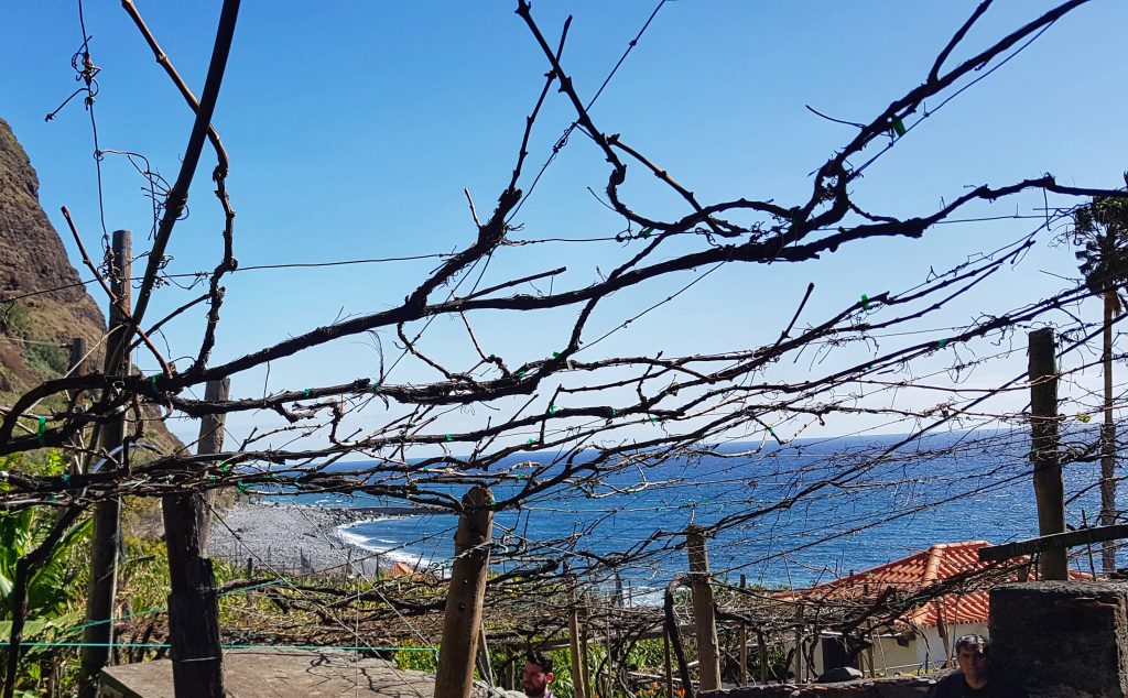 Bild från DinVinguide