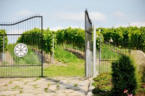 Bild från DinVinguide