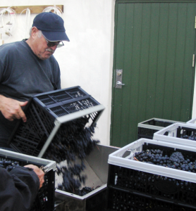 Bild från DinVinguide