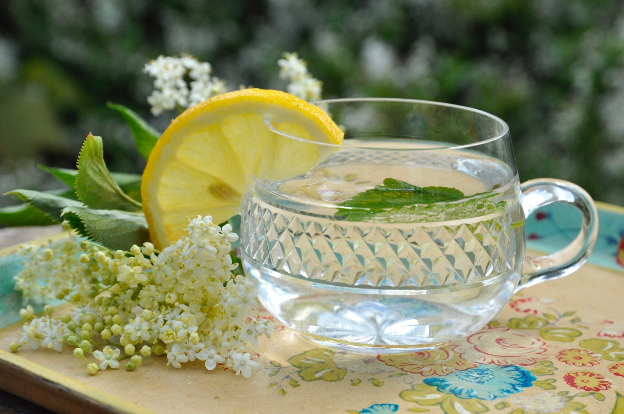 Flädersaft - DinVinguide Flädersaft hemkokt Flädersaft