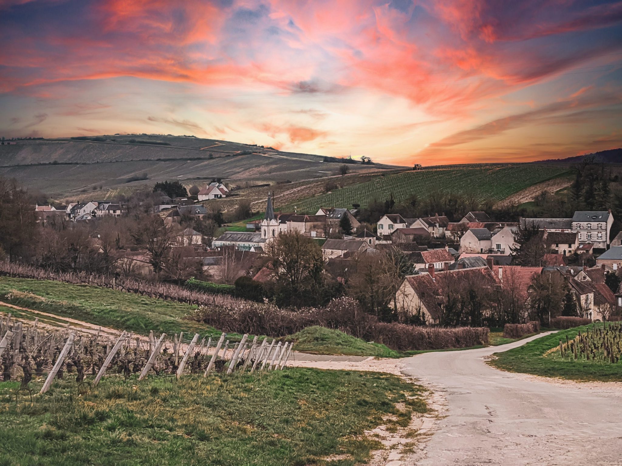 Chablisskolan - Domaine William Fèvre