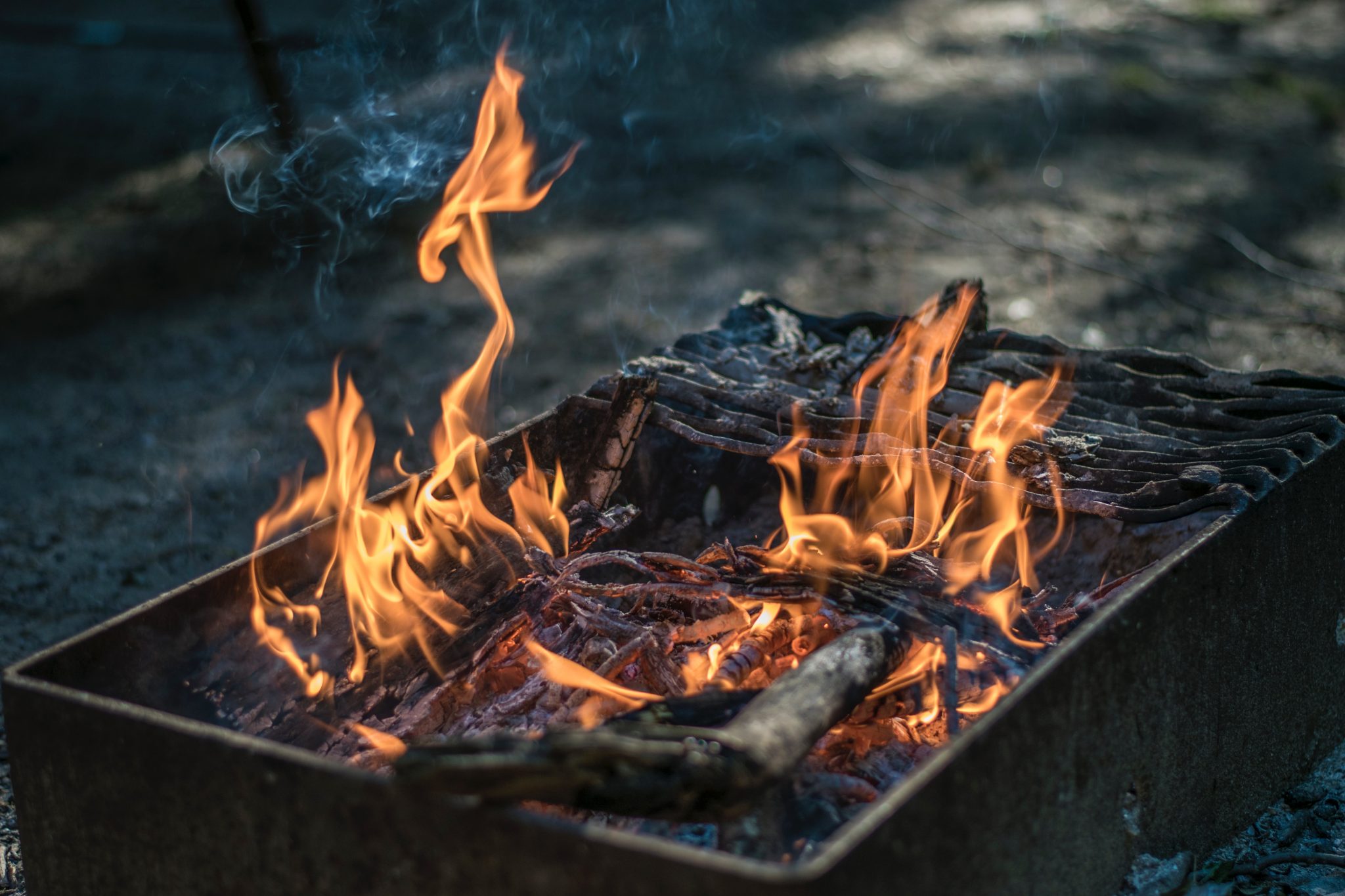 Bästa rödvinerna till vårens grillning