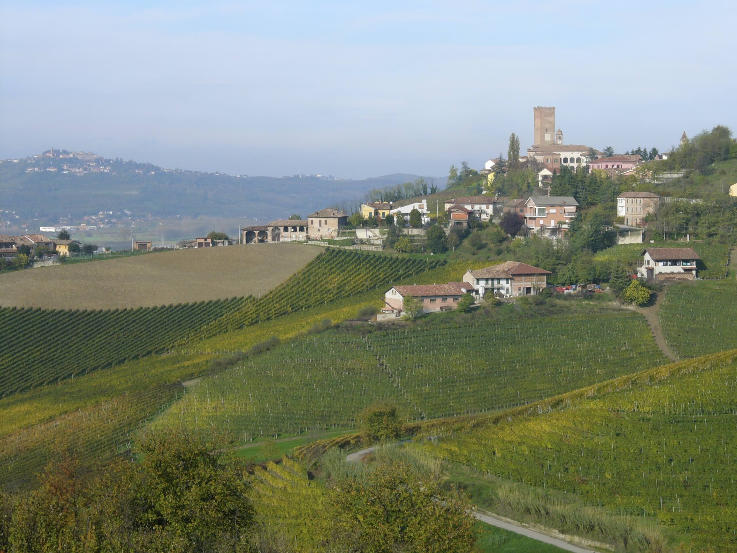 Månadens vinhus: Produttori del Barbaresco, Barbaresco är populärt, Barbaresco är ett av världens bästa viner