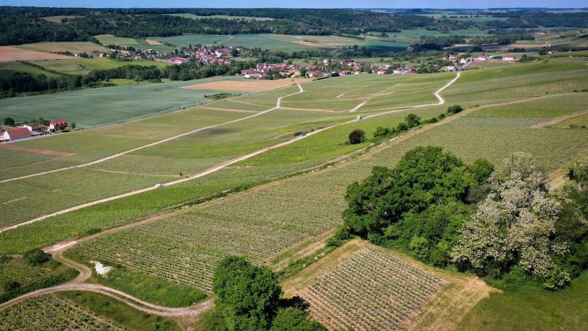 bild på Clos-champagne