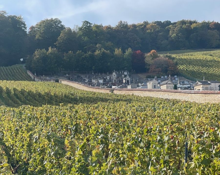 Resa i Champagne - Avize