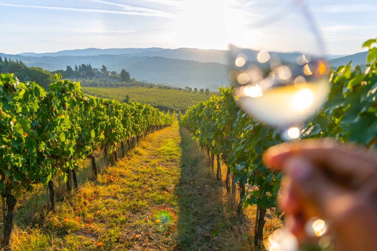 Från champagne till svenskt vin vinåret 2026