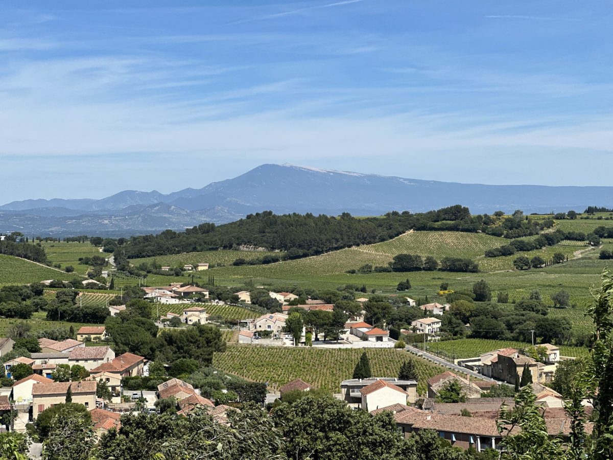 bild på Châteauneuf-du-Pape och påvens nya viner