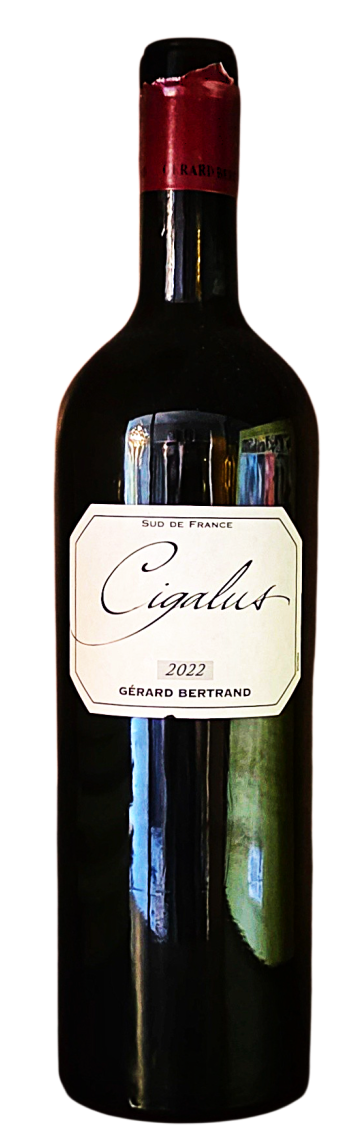 Cigalus-rouge-2022-